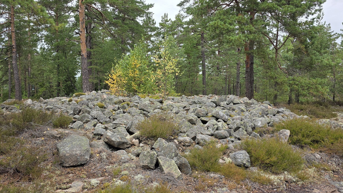 Veumskogen