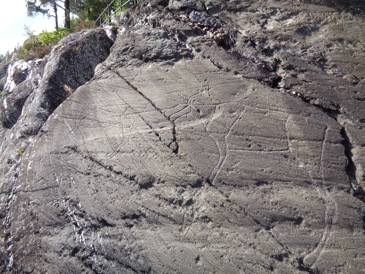 Salthammeren Stone Age Carvings [Vangdal] Rock Art : The Megalithic ...
