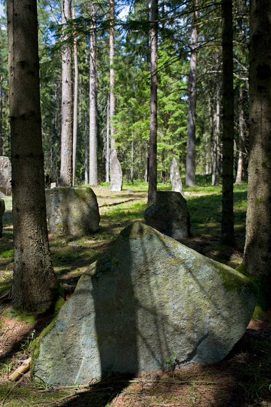 Click for the gallery page to add comments and vote (PID:155389) Gunnarstorp Standing Stones