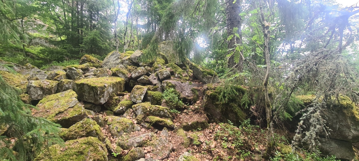 Tjuvbergåsen