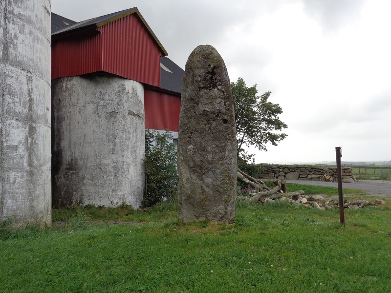 Pigghedlå