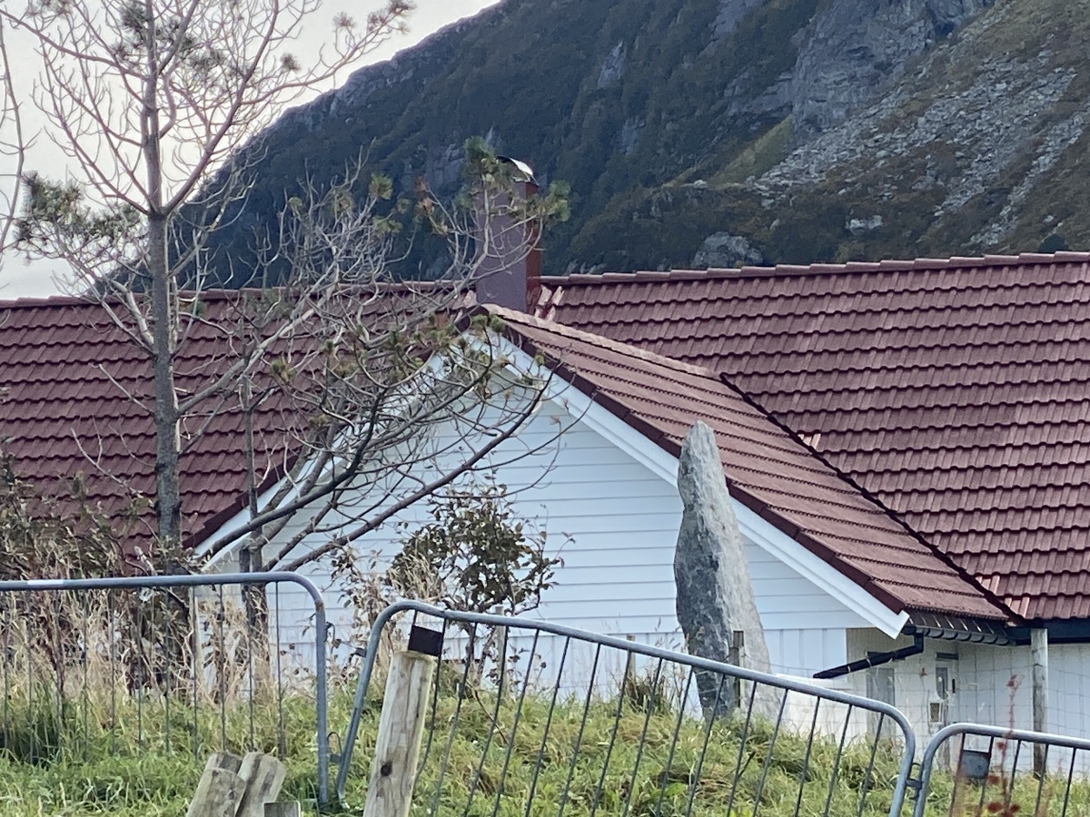 Alnestrøya standing stone