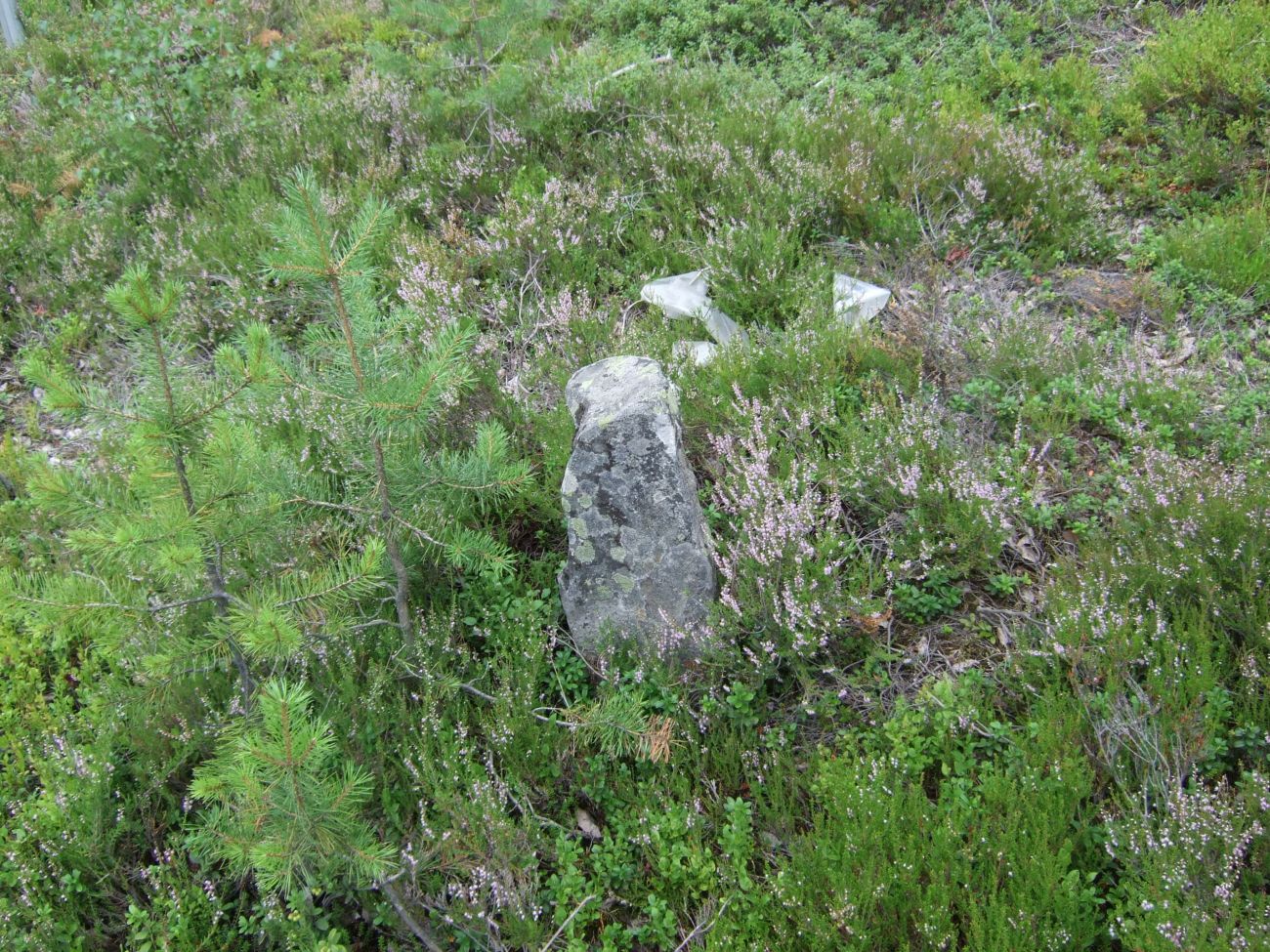 Site in Telemark Norway