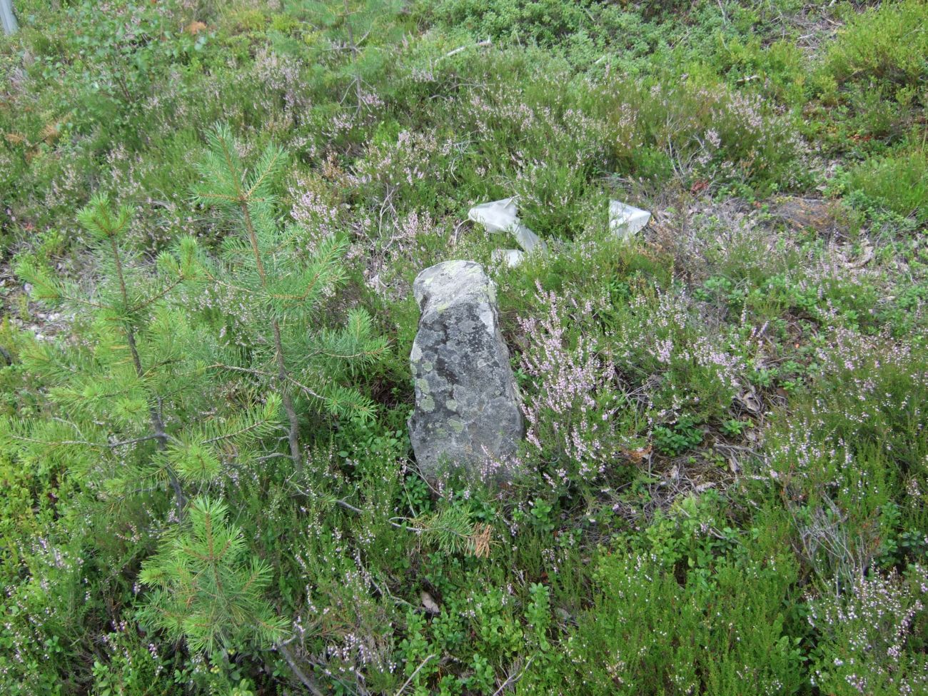 Skeisteinen Runestone