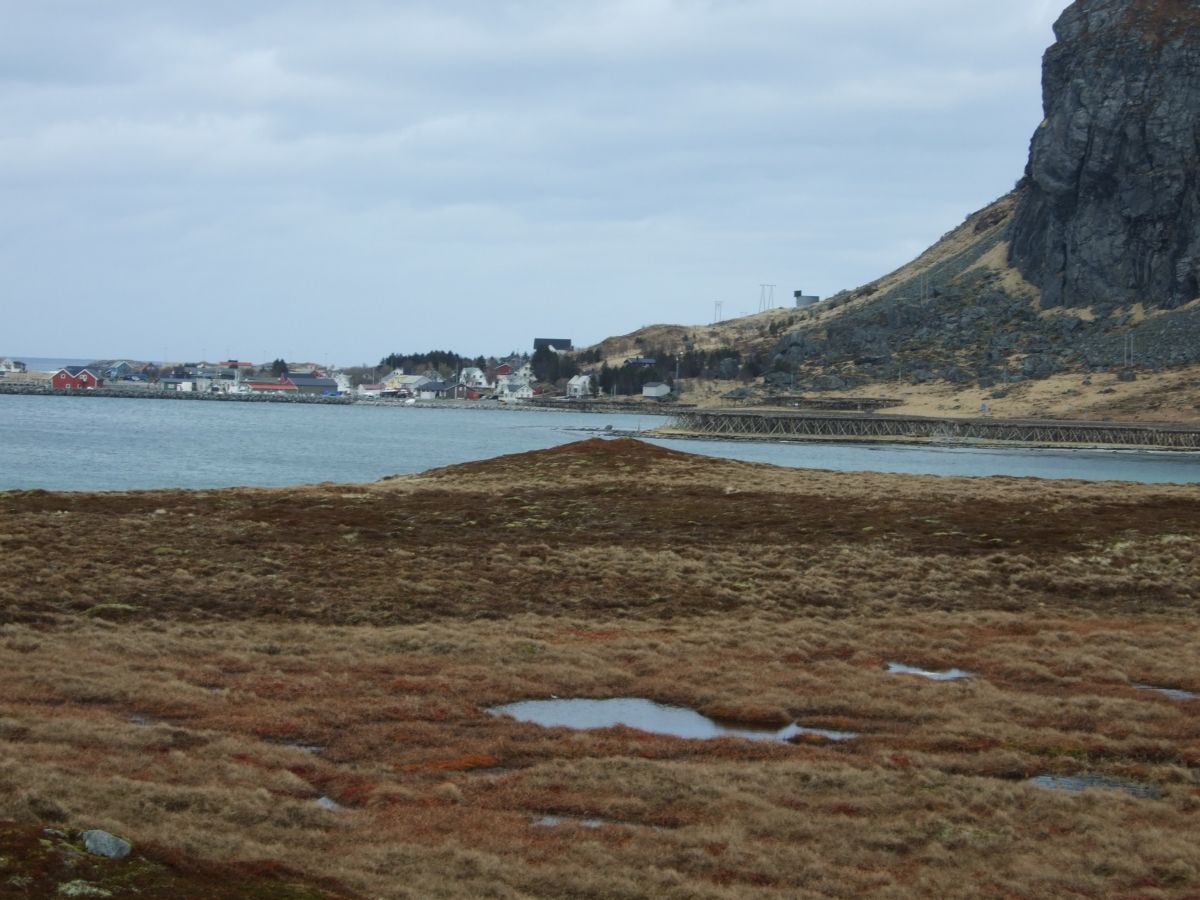 Site in Nordland Norway