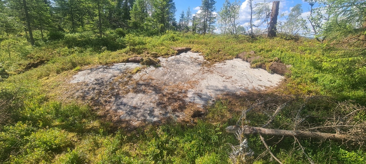 Tessem-Brennåsen