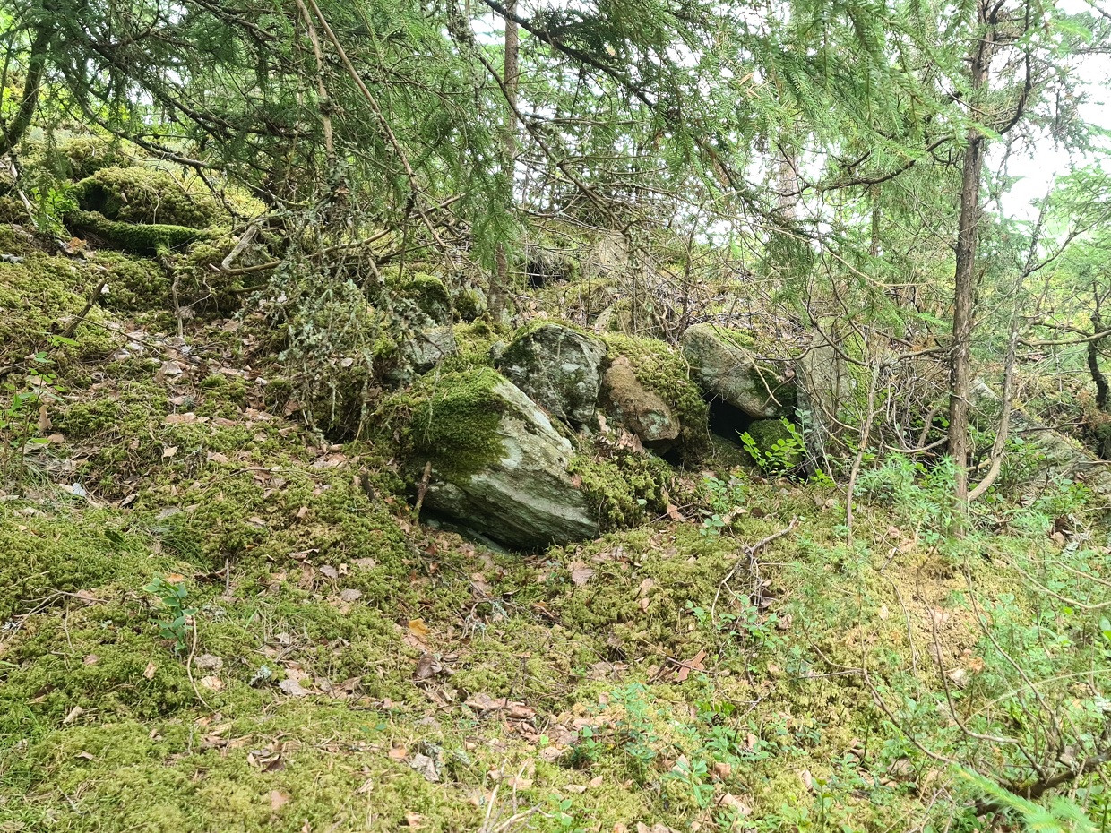 Galborgen