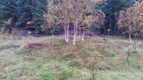 Trolldalen