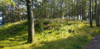Hove Leir gravhauger