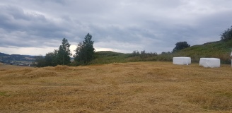 Stavlovegen