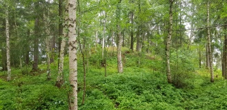 Skrubbhaugen