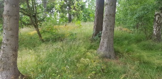 Laberget cairns