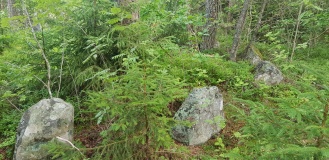 Borgebråtan