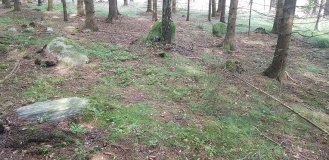 Rokkeveien-Vik Stone Circles
