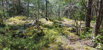 Gunhildås