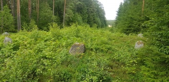 Elingård-Nord
