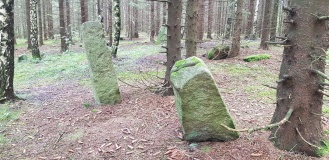 Rokkeveien-Vik Stone Circles