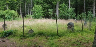 Melsomskogen