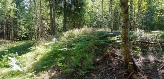 Findal Nordre