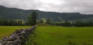 Nomelandshaugen