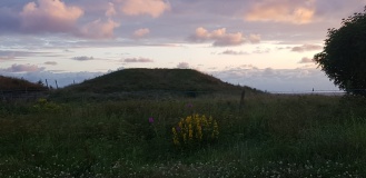 Erga-Mohaugen