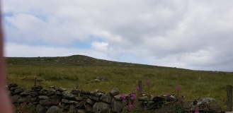 Anda-Grønhaug