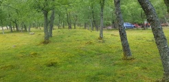 Click for full size image of Hæreidsmoen (PID:216947) Hæreidsmoen