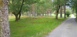 Click for full size image of Hæreidsmoen (PID:216949) Hæreidsmoen