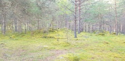 Click for full size image of Hæreidsmoen (PID:216942) Hæreidsmoen