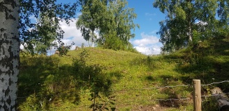 Jostad