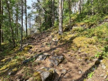 Kverkilhaugen