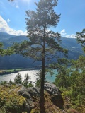 Høgkleiva
