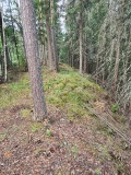 Hølberget Hillfort