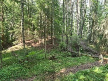 Kneppefeltet-Vigsteinmoen