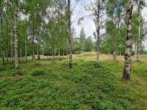 Trømborg