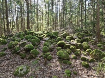 Hornnesveien Østre
