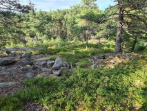 Harekasfjellet