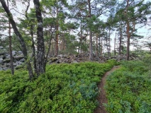 Evenrød-Borgåsen Hillfort