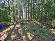 Opstadveien South