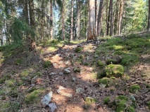 Ileberget Hillfort