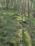 Ileberget Hillfort