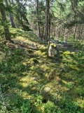 Tittberget