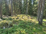 Starrberget