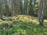 Starrberget