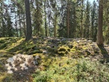 Starrberget