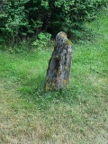 Flåmselvi