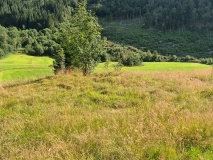Lølandsterrassen Gravfelt