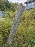 Hasselvikveien-Hårberg