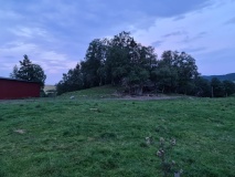 Mossingvegen-Vang