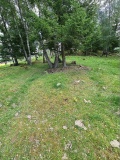 Malivika standing stone